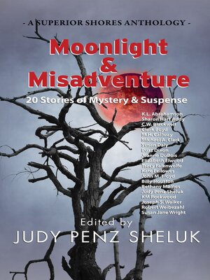 cover image of Moonlight & Misadventure